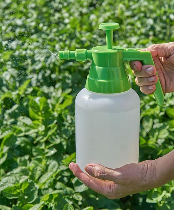 What to know before you file a Paraquat parkinson’s liability lawsuit.